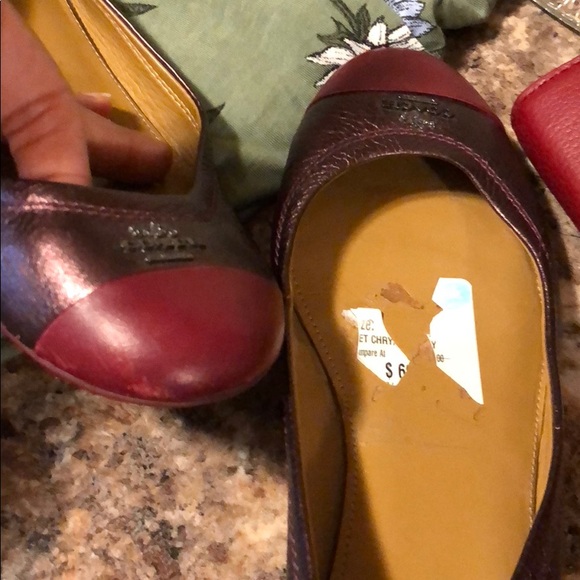Coach Chelsea black cherry metallic flat .size 6B - Picture 5 of 7